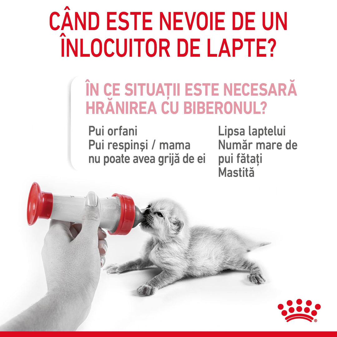 Royal Canin Baby Cat Milk inlocuitor lapte matern pisica, 300 g