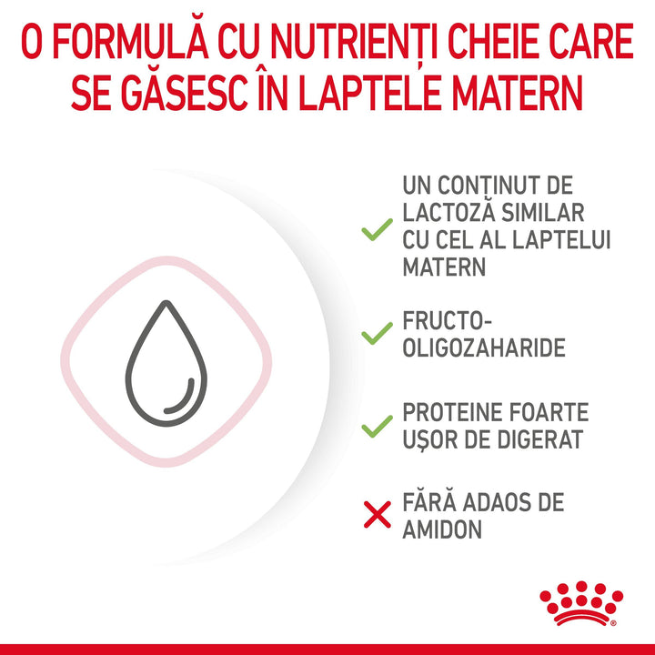 Royal Canin Baby Cat Milk inlocuitor lapte matern pisica, 300 g