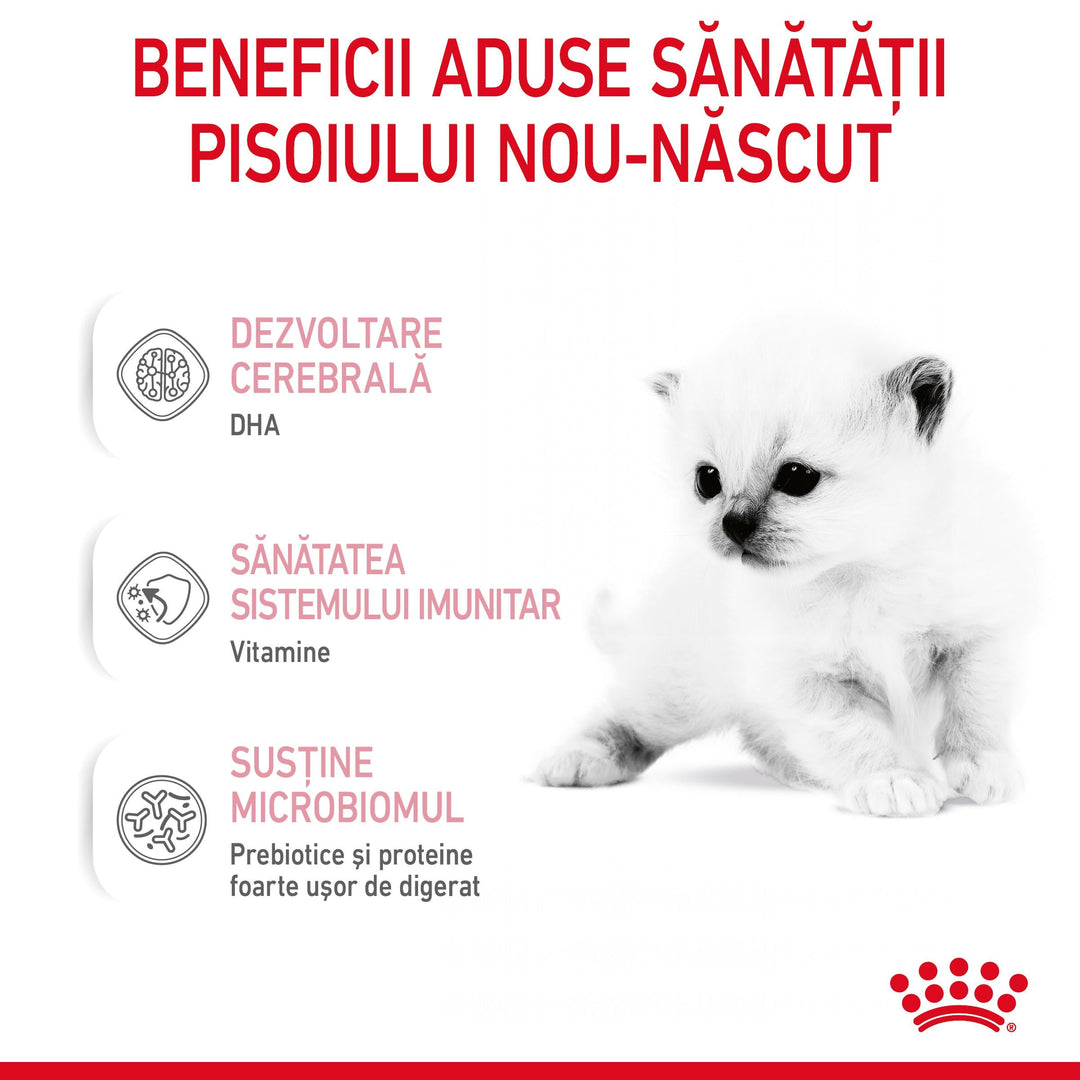 Royal Canin Baby Cat Milk inlocuitor lapte matern pisica, 300 g