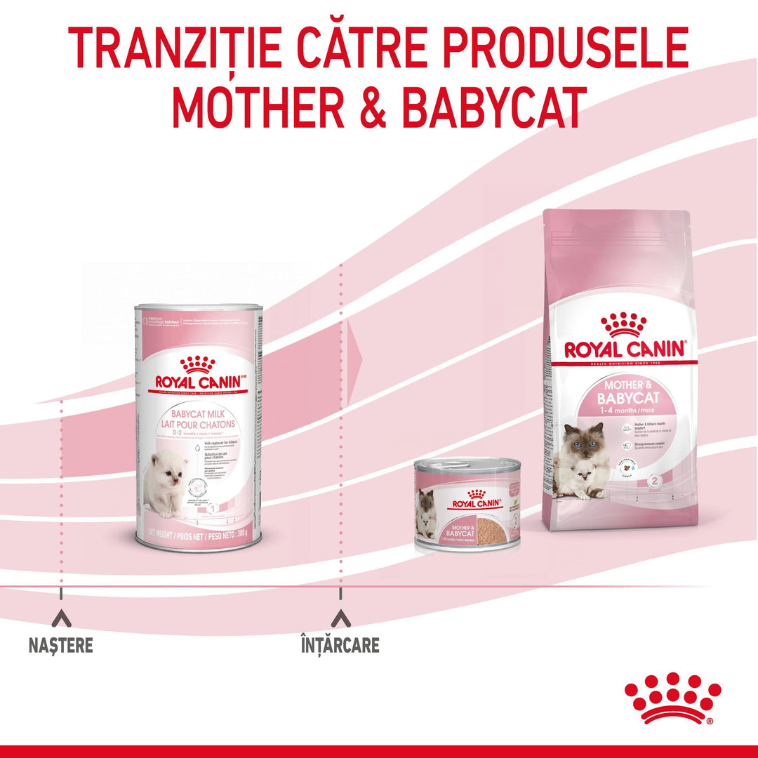 Royal Canin Baby Cat Milk inlocuitor lapte matern pisica, 300 g