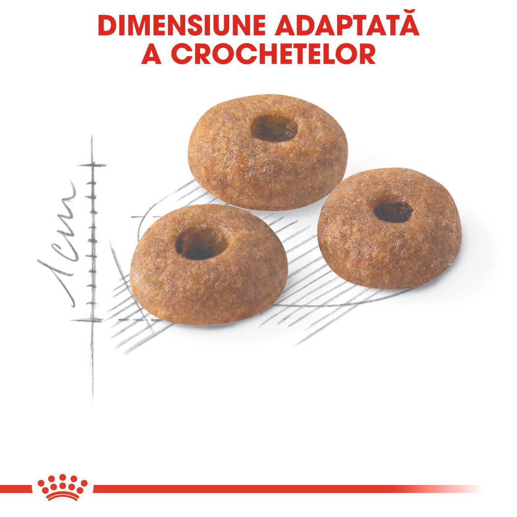 Royal Canin Fit32 Adult hrana uscata pisica, activitate fizica moderata, 2 kg