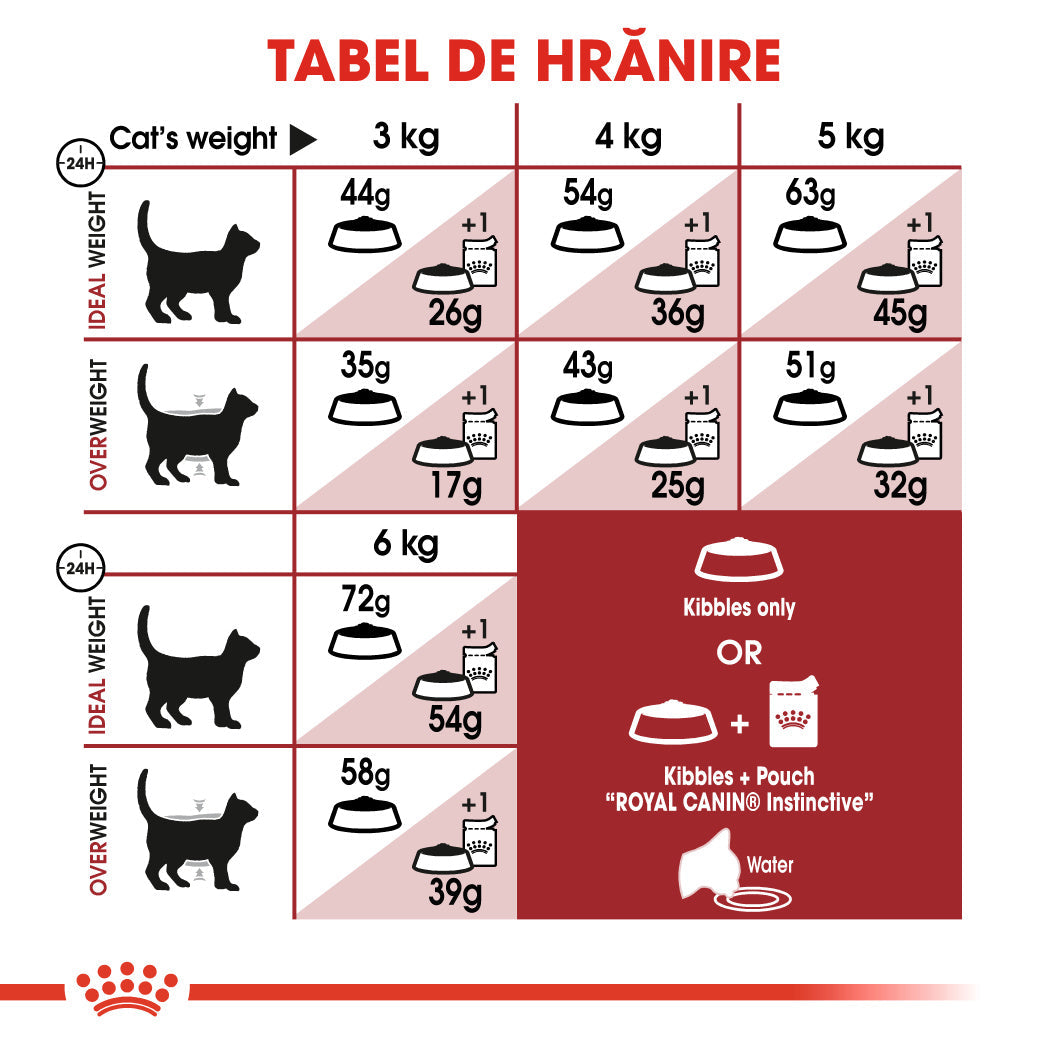 Royal Canin Fit32 Adult hrana uscata pisica, activitate fizica moderata, 10 kg