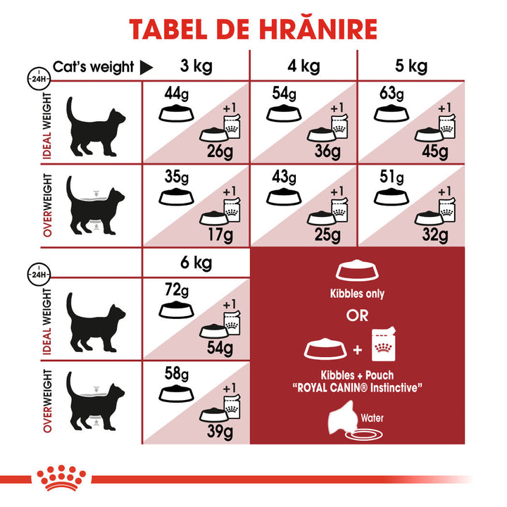 Royal Canin Fit32 Adult hrana uscata pisica, activitate fizica moderata, 10 kg
