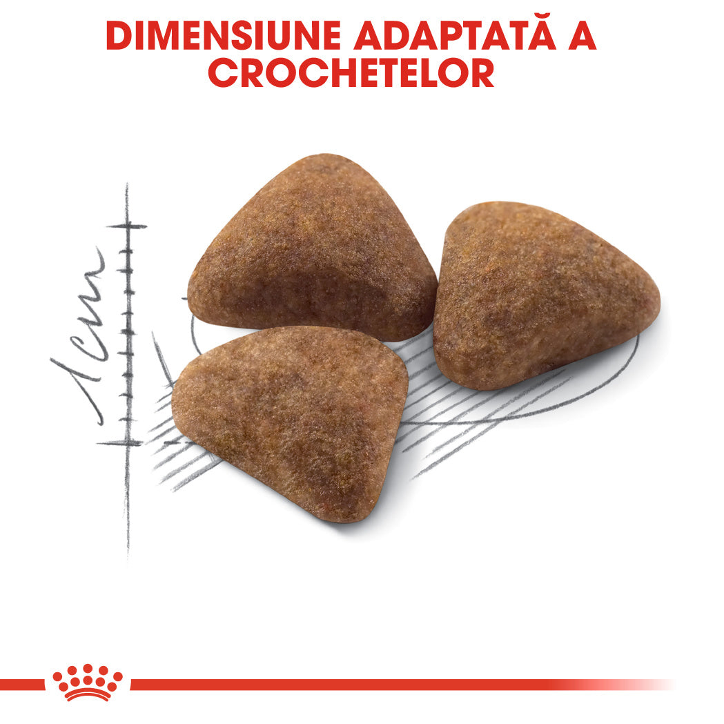 Royal Canin Indoor Adult hrana uscata pisica de interior, 2 kg