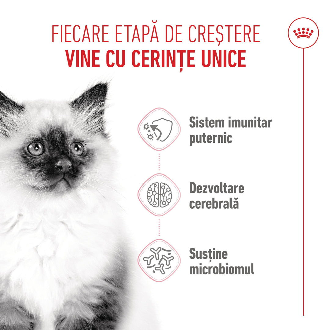 Royal Canin Kitten hrana uscata pisica junior, 2 kg