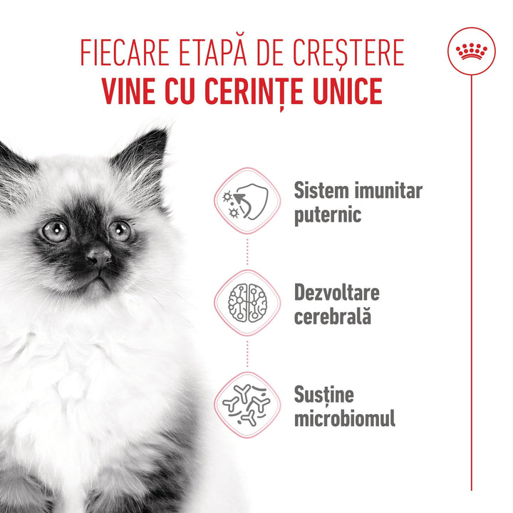 Royal Canin Kitten hrana uscata pisica junior, 2 kg