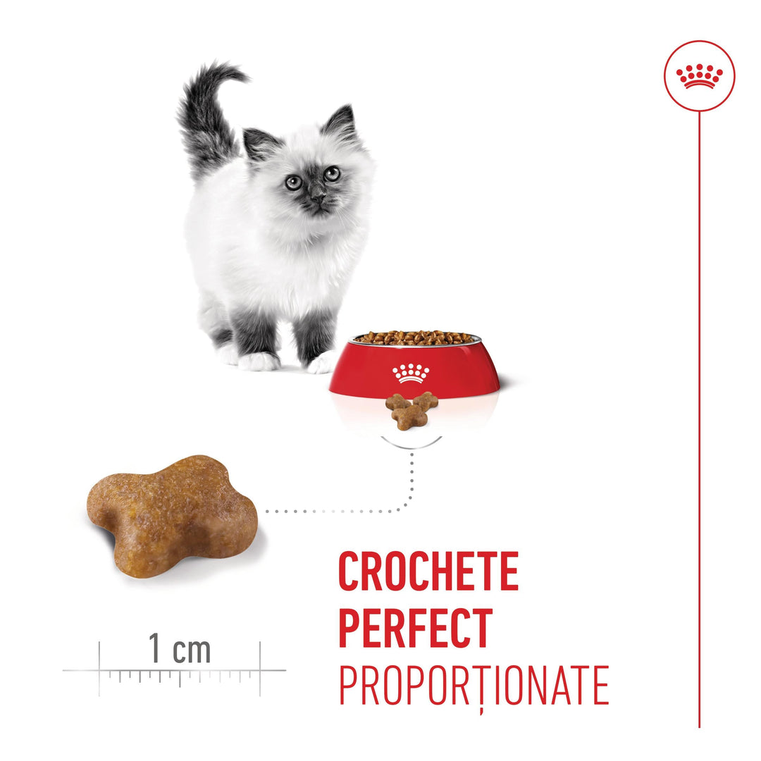 Royal Canin Kitten hrana uscata pisica junior, 1.2 kg