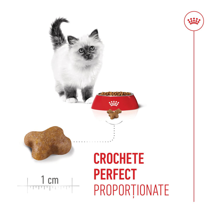 Royal Canin Kitten hrana uscata pisica junior, 400 g