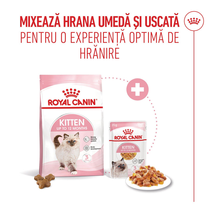 Royal Canin Kitten hrana umeda pisica junior (aspic), 12 x 85 g