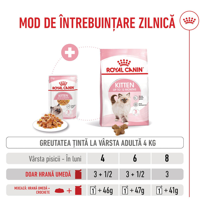 Royal Canin Kitten hrana umeda pisica junior (aspic), 12 x 85 g