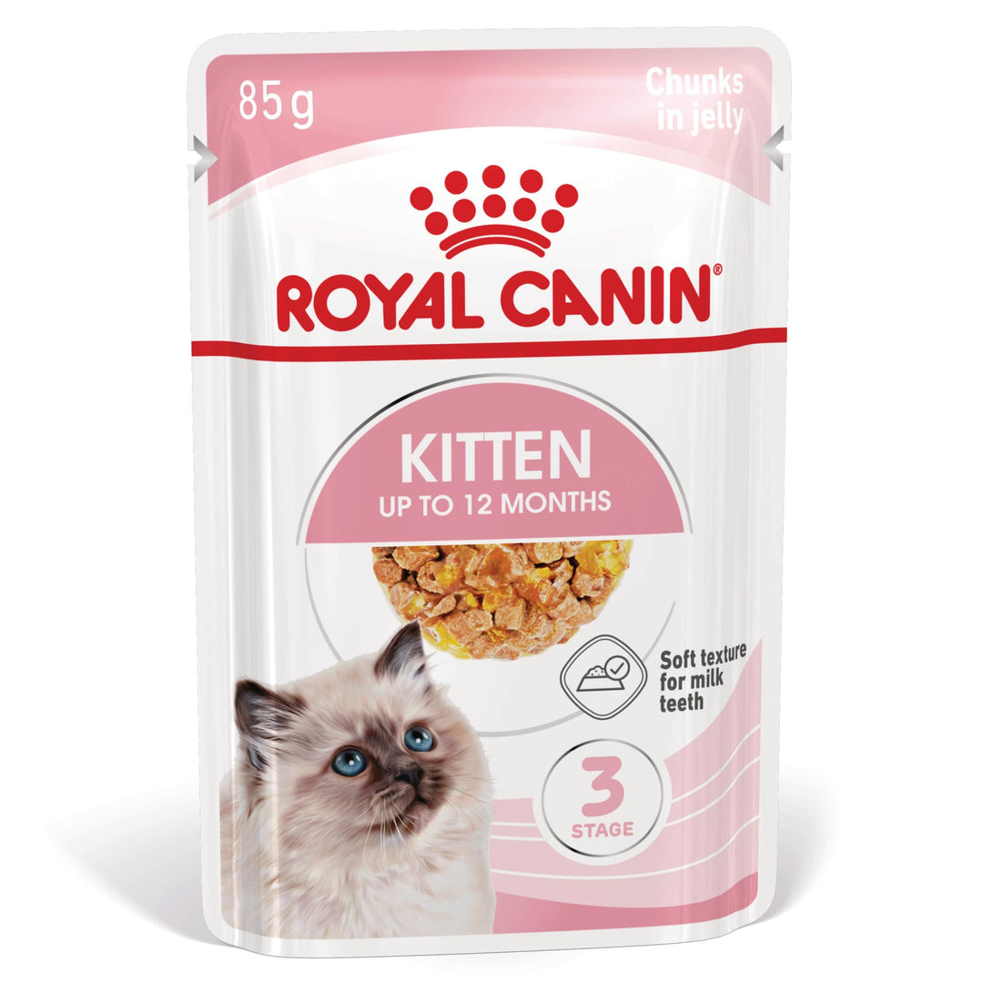 Royal Canin Kitten hrana umeda pisica junior (aspic), 12 x 85 g