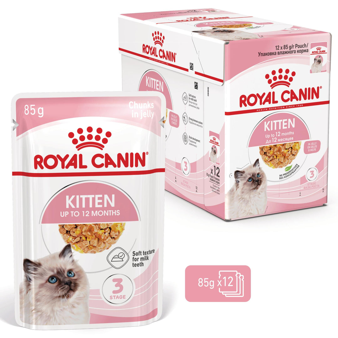 Royal Canin Kitten hrana umeda pisica junior (aspic), 12 x 85 g
