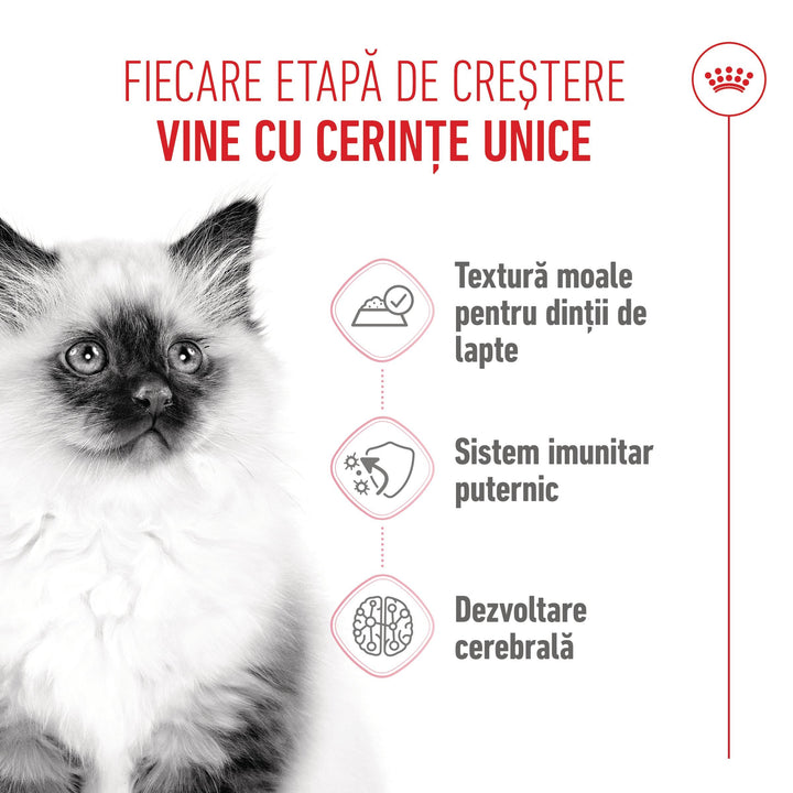 Royal Canin Kitten hrana umeda pisica junior (pate), 12 x 85 g