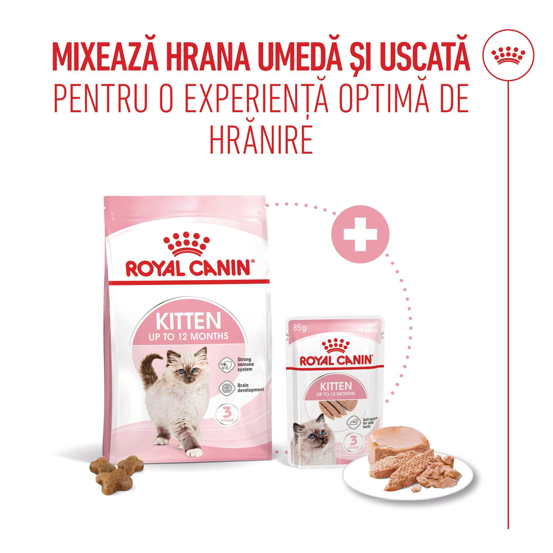 Royal Canin Kitten hrana umeda pisica junior (pate), 12 x 85 g
