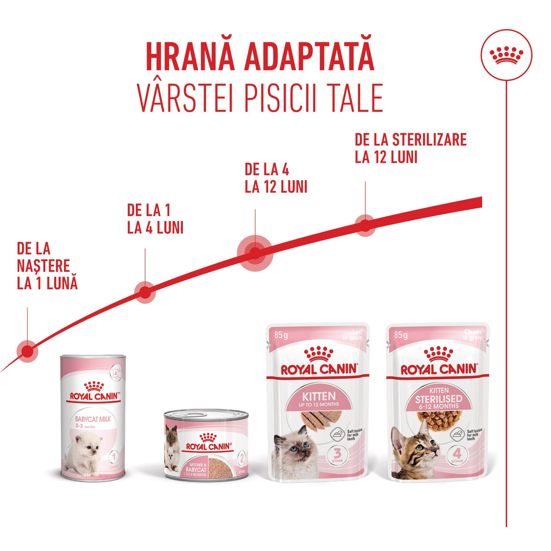 Royal Canin Kitten hrana umeda pisica junior (pate), 12 x 85 g