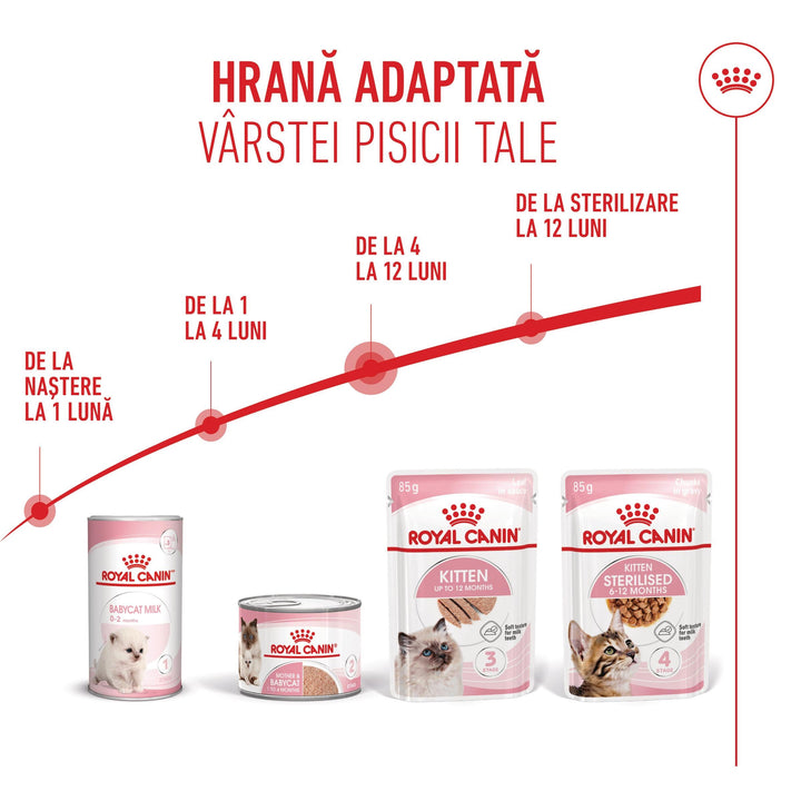 Royal Canin Kitten hrana umeda pisica junior (pate), 12 x 85 g