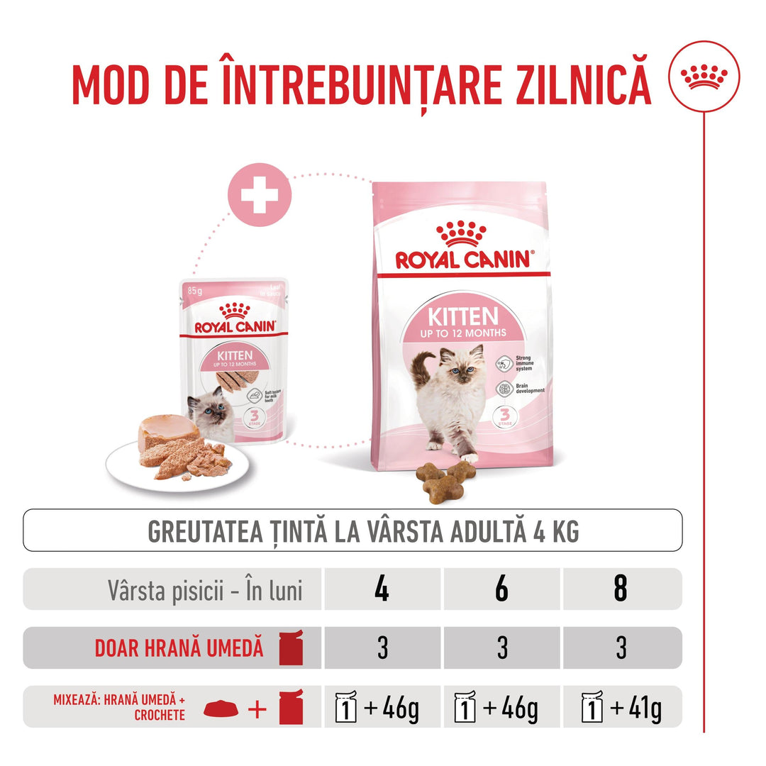 Royal Canin Kitten hrana umeda pisica junior (pate), 12 x 85 g