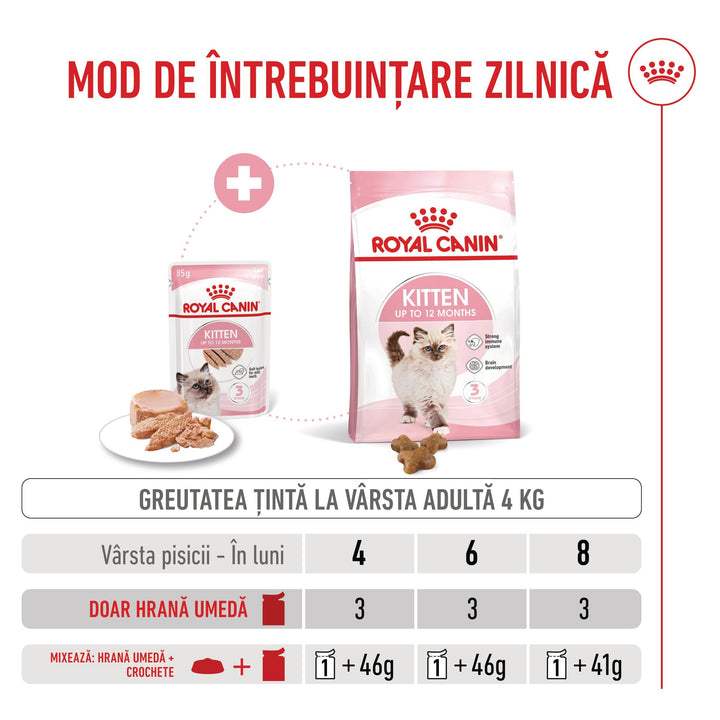 Royal Canin Kitten hrana umeda pisica junior (pate), 12 x 85 g