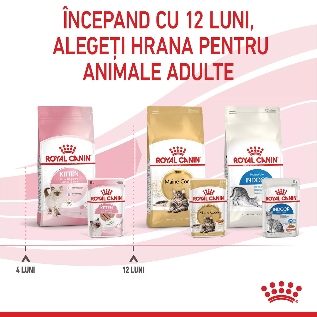 Royal Canin Kitten hrana umeda pisica junior (pate), 12 x 85 g