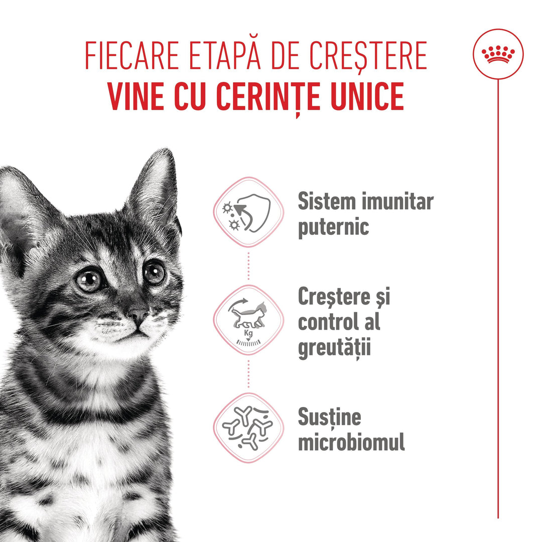 Royal Canin Kitten Sterilised hrana uscata pisica sterilizata junior, 400 g