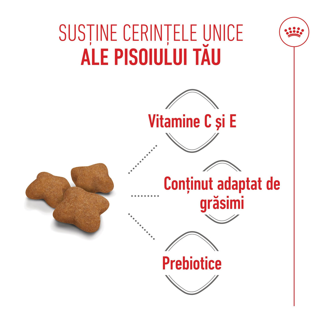 Royal Canin Kitten Sterilised hrana uscata pisica sterilizata junior, 2 kg