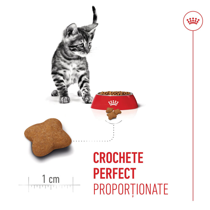 Royal Canin Kitten Sterilised hrana uscata pisica sterilizata junior, 400 g