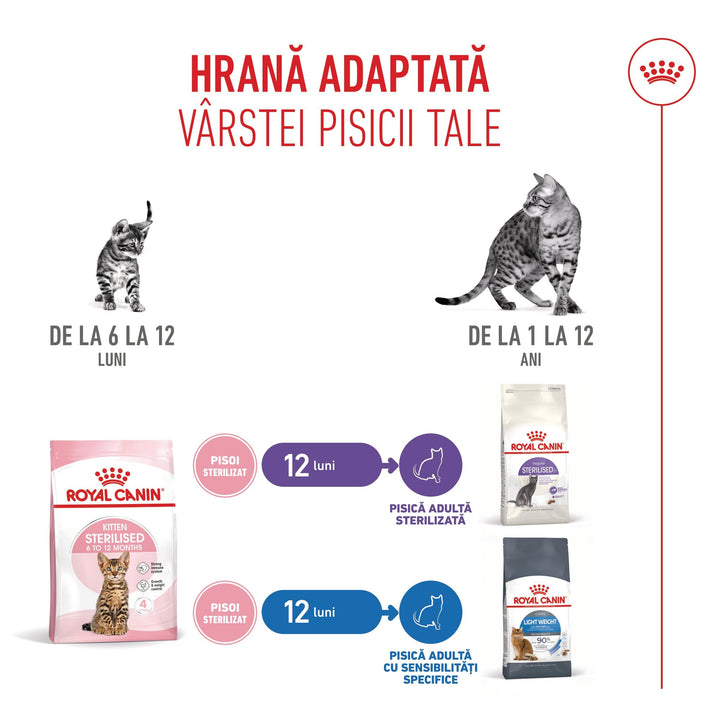 Hrana Uscata Pisici Royal Canin 249620 | Kitten, Sterilised, 2kg