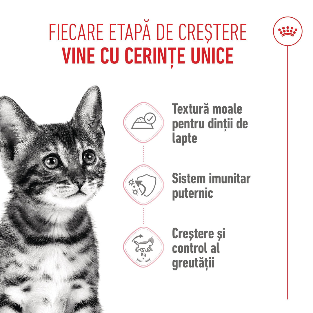 Royal Canin Kitten Sterilised hrana umeda pisica sterilizata junior (in sos), 12 x 85 g