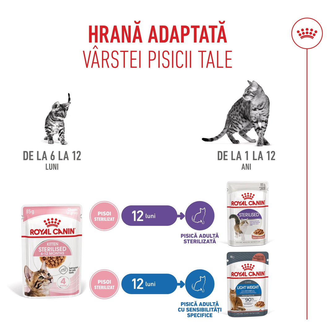Royal Canin Kitten Sterilised hrana umeda pisica sterilizata junior (in sos), 12 x 85 g