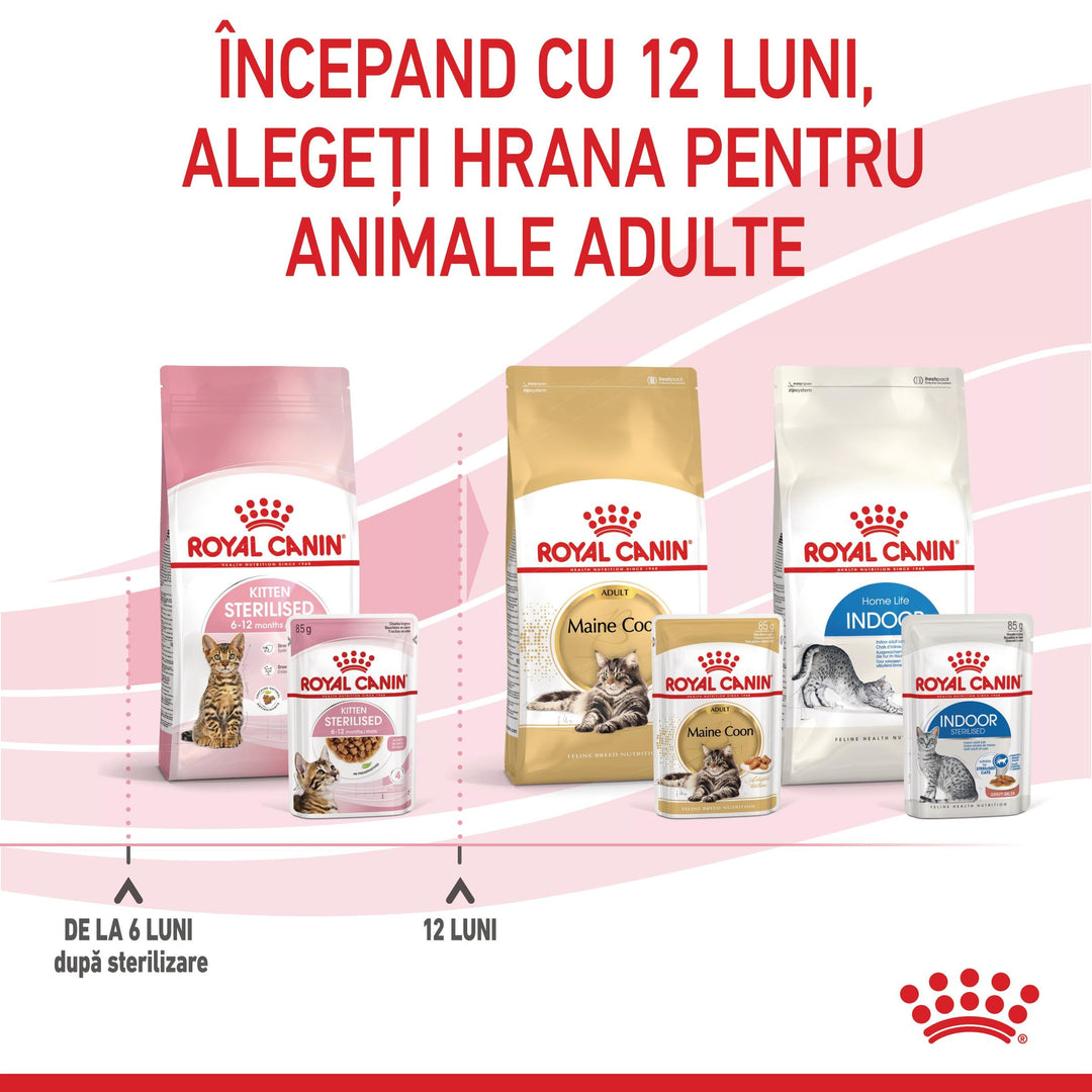 Hrana Umeda Pisici Royal Canin 307610 | Kitten, Sterilised, 12x85g