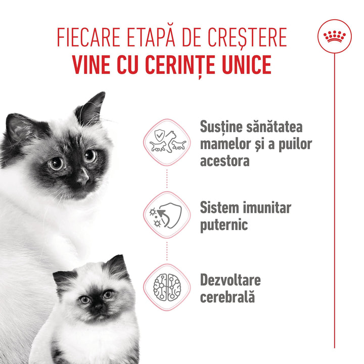 Royal Canin Mother &amp; BabyCat hrana umeda pisica, mama si puiul (textura spumoasa), 195 g
