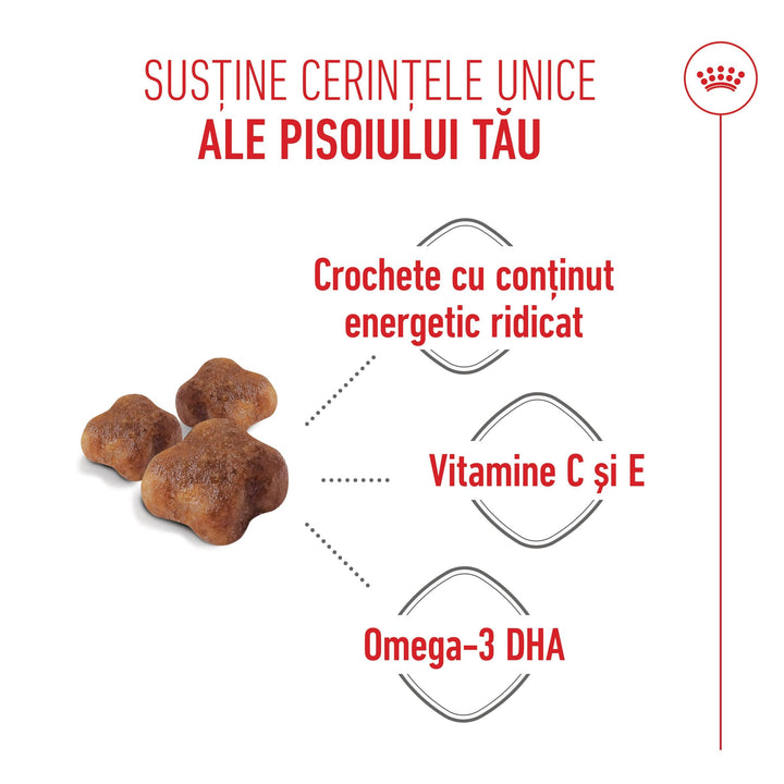 Royal Canin Mother &amp; BabyCat hrana uscata pisica, mama si puiul, 400 g