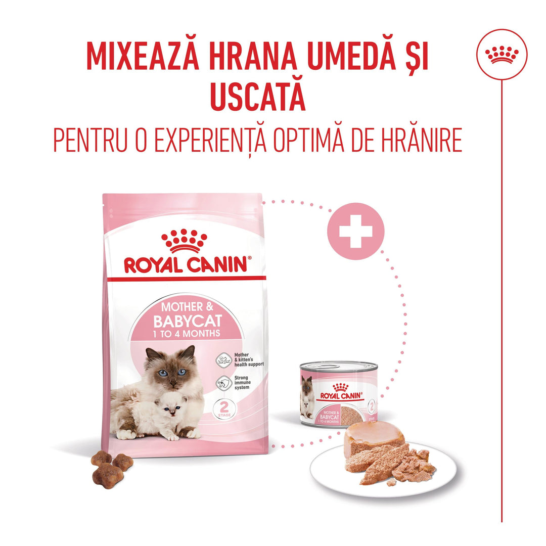 Royal Canin Mother &amp; Baby Cat hrana uscata pisica, mama si puiul, 4 kg