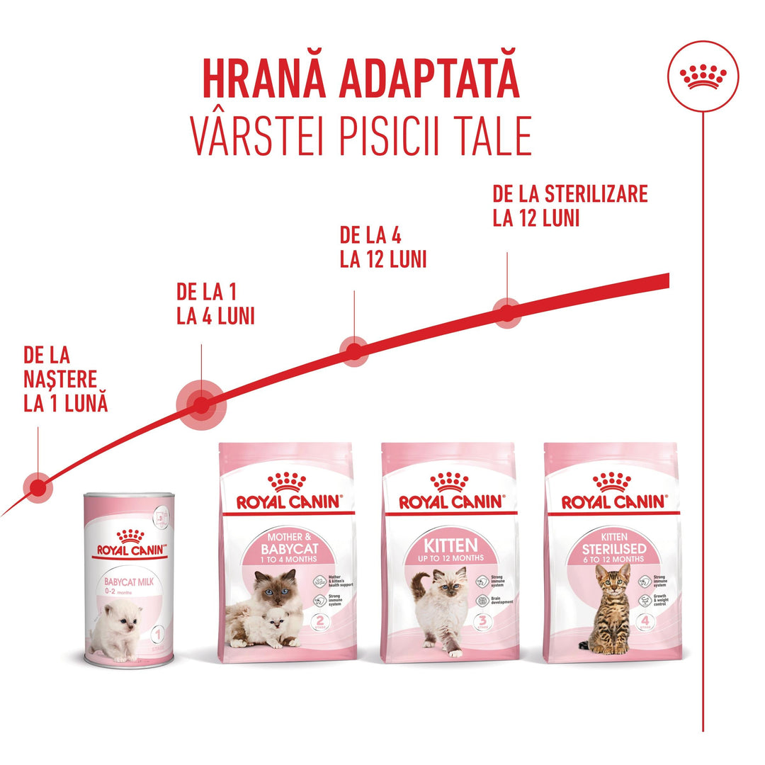 Royal Canin Mother &amp; BabyCat hrana uscata pisica, mama si puiul, 2 kg