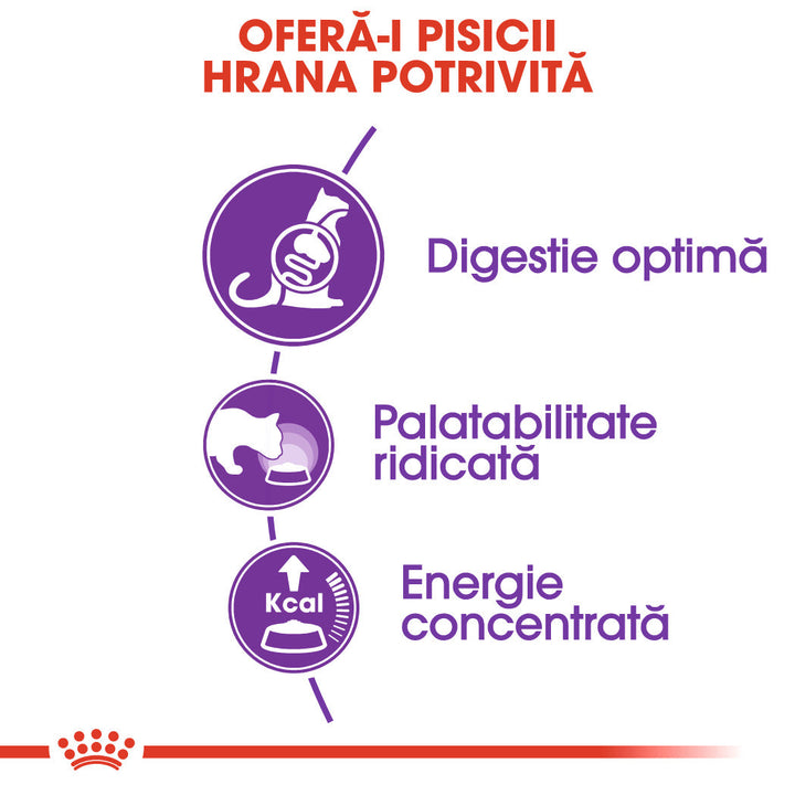Royal Canin Sensible Adult hrana uscata pisica, digestie optima, 4 kg