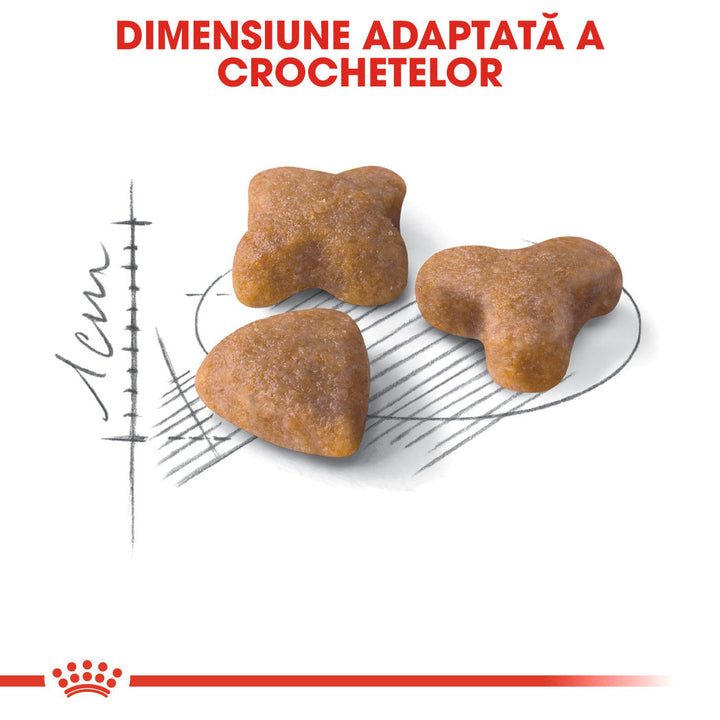 Royal Canin Sensible Adult hrana uscata pisica, digestie optima, 400 g
