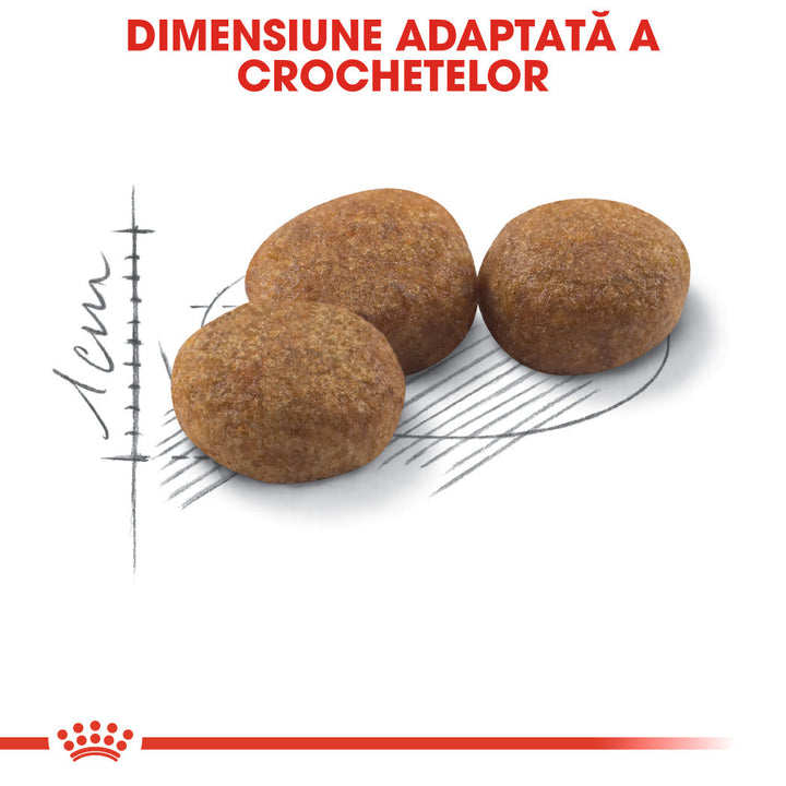 Royal Canin Sterilised Adult hrana uscata pisica sterilizata, 10 kg