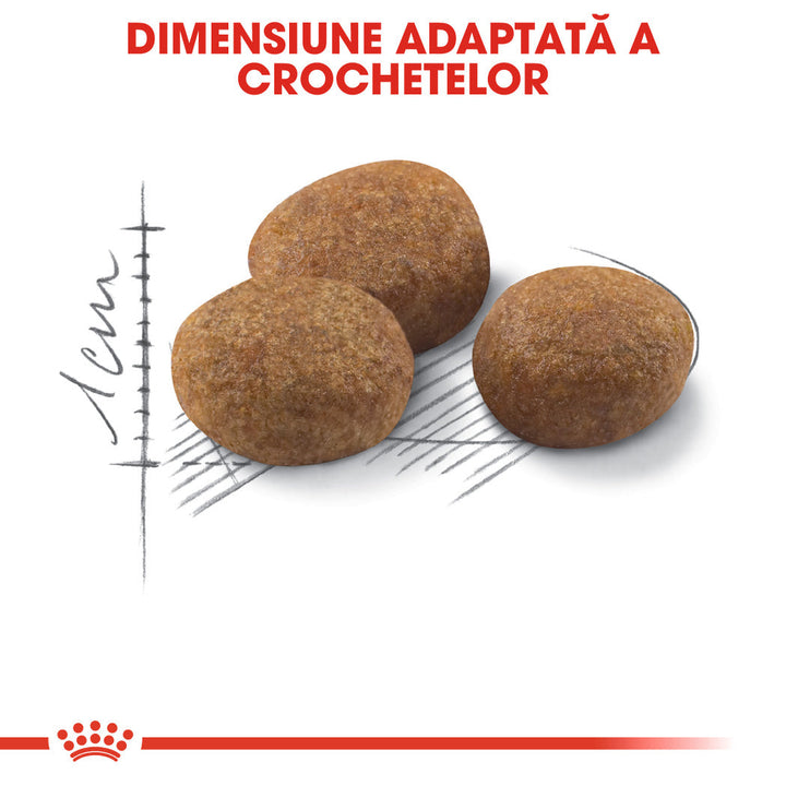 Royal Canin Sterilised 7+ hrana uscata pisica sterilizata, 10 kg