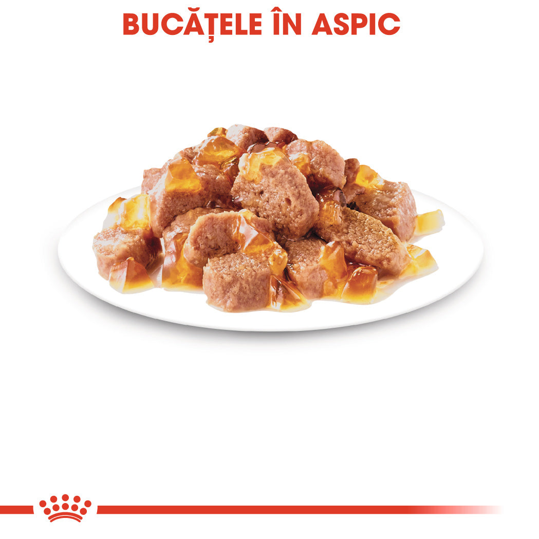 Royal Canin Sterilised Adult hrana umeda pisica sterilizata (in aspic), 12 x 85 g