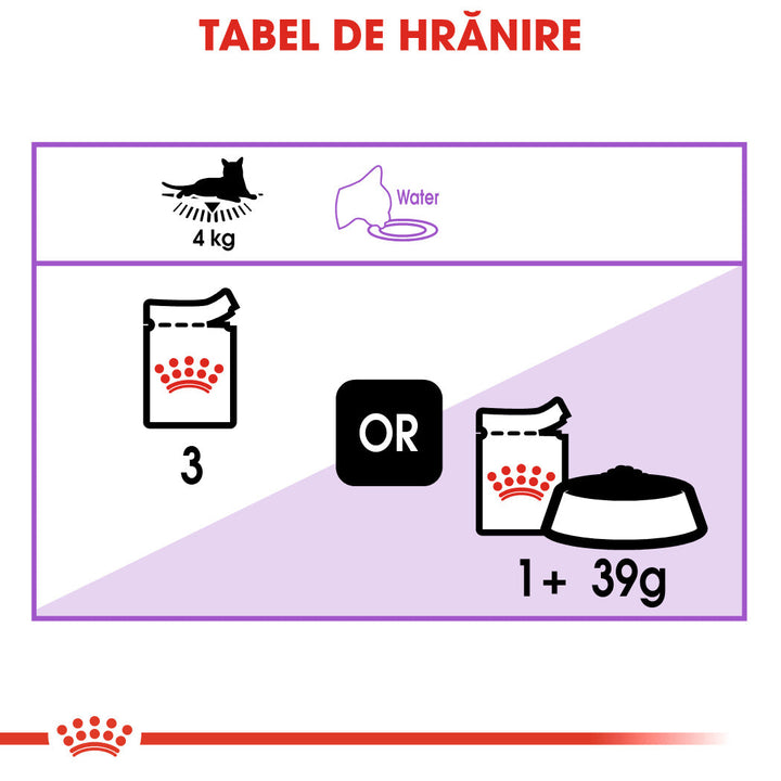 Royal Canin Sterilised Adult hrana umeda pisica sterilizata (in aspic), 12 x 85 g