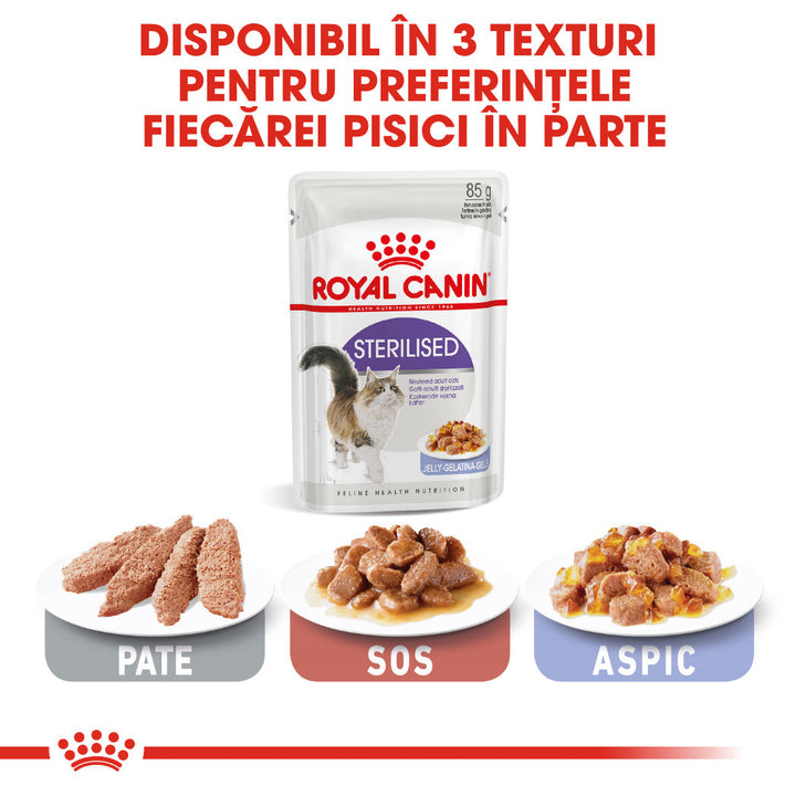 Royal Canin Sterilised Adult hrana umeda pisica sterilizata (in aspic), 12 x 85 g
