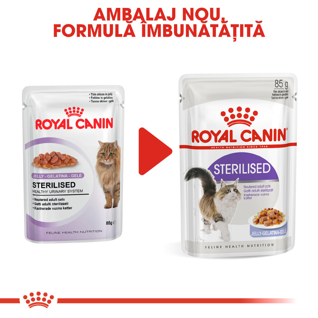 Royal Canin Sterilised Adult hrana umeda pisica sterilizata (in aspic), 12 x 85 g