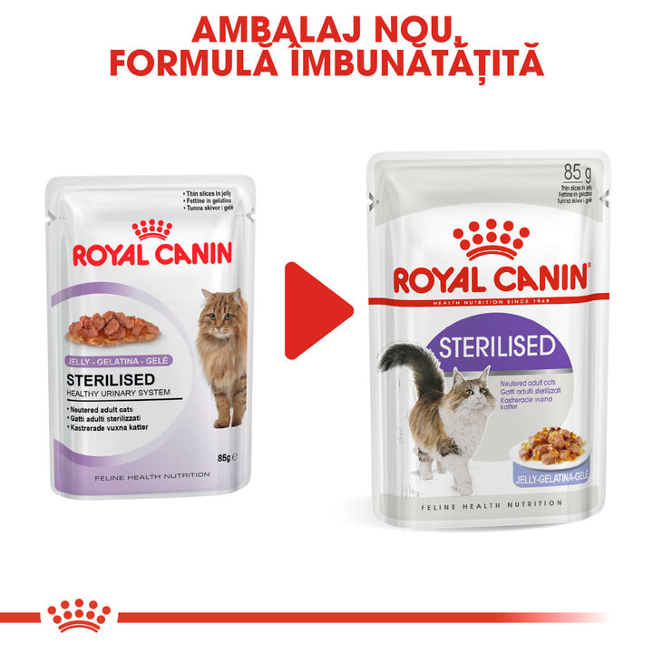 Royal Canin Sterilised Adult hrana umeda pisica sterilizata (in aspic), 12 x 85 g