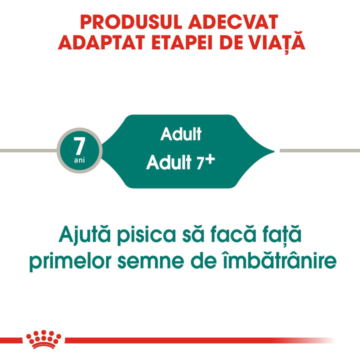 Royal Canin Instinctive 7+ hrana umeda pisica (in sos), 12 x 85 g