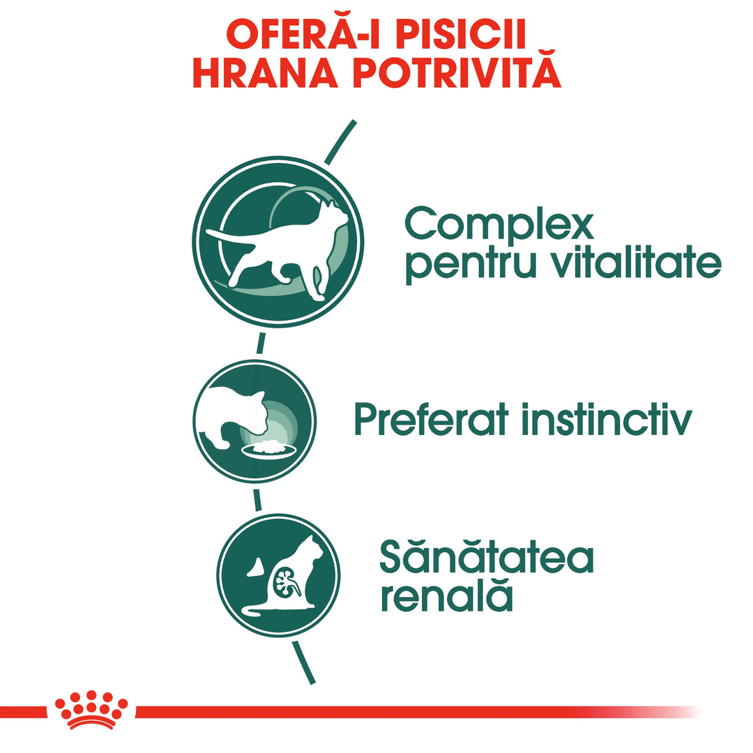 Royal Canin Instinctive 7+ hrana umeda pisica (in sos), 12 x 85 g