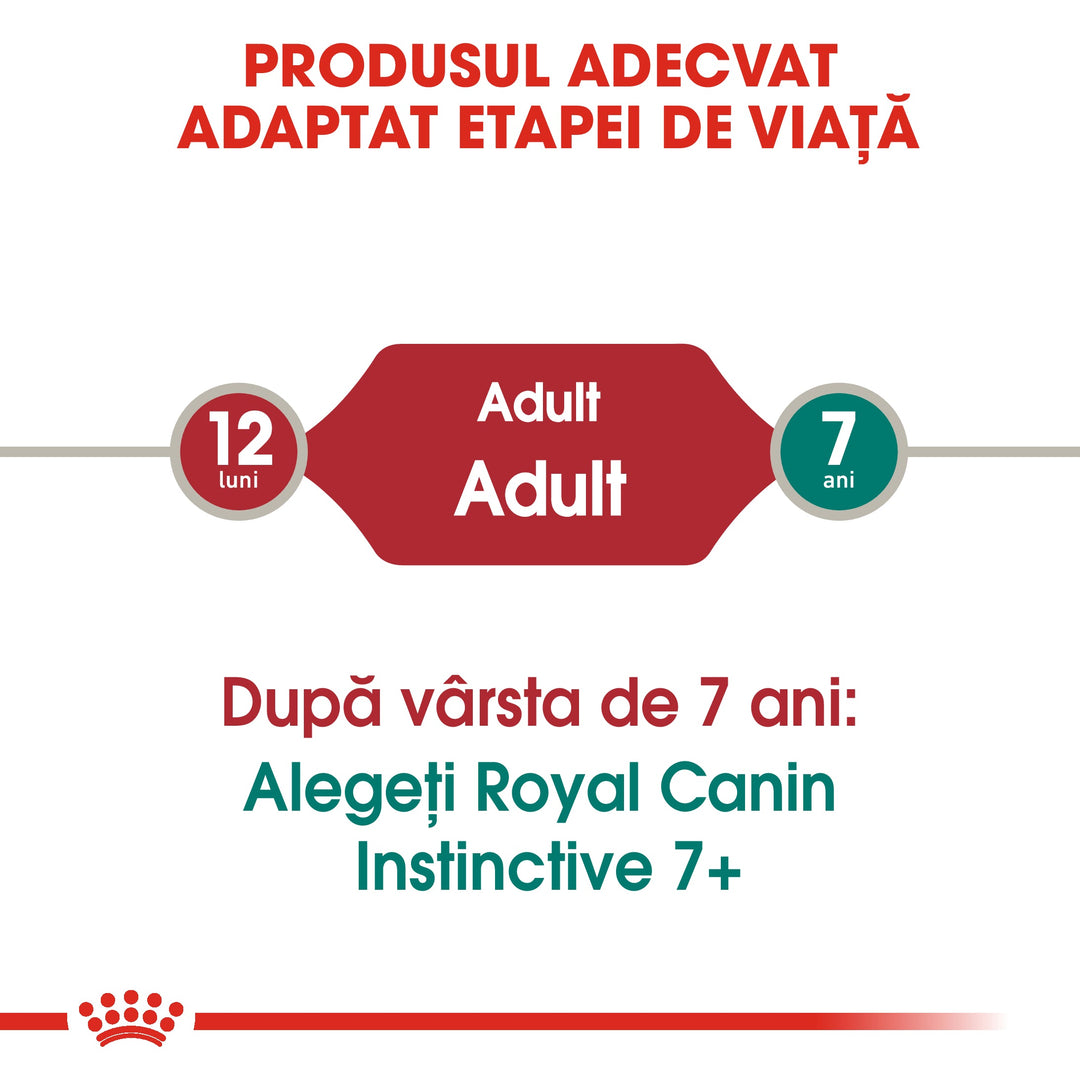 Royal Canin Instinctive Adult hrana umeda pisica (aspic), 12 x 85 g