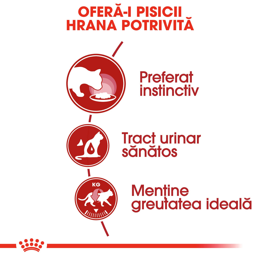 Royal Canin Instinctive Adult hrana umeda pisica (aspic), 12 x 85 g