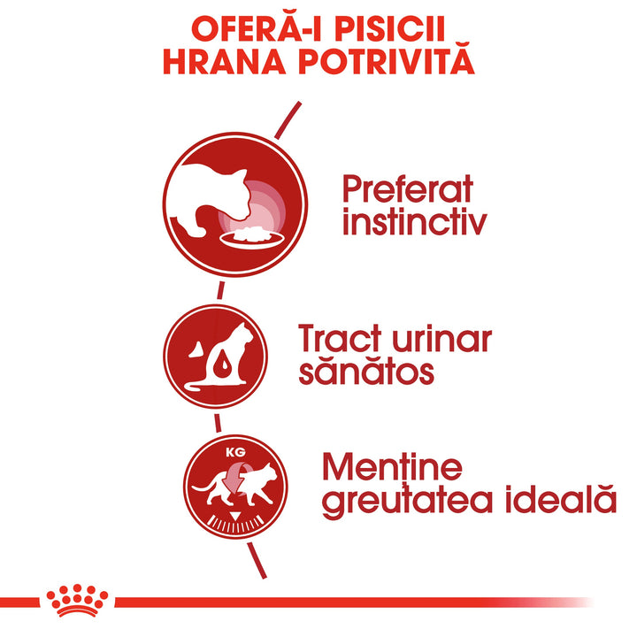 Royal Canin Instinctive Adult hrana umeda pisica (aspic), 12 x 85 g