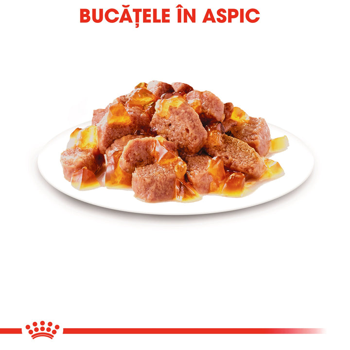 Royal Canin Instinctive Adult hrana umeda pisica (aspic), 12 x 85 g