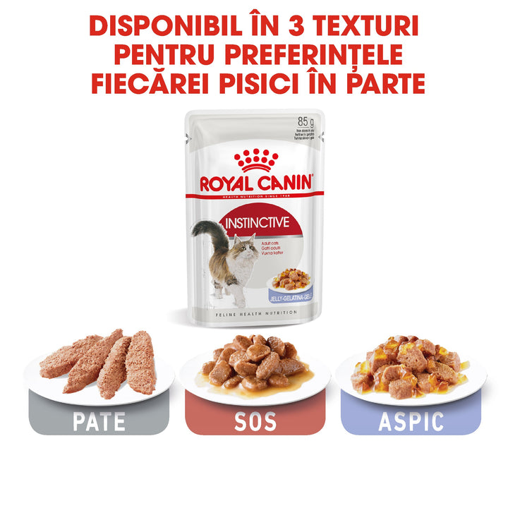 Royal Canin Instinctive Adult hrana umeda pisica (aspic), 12 x 85 g